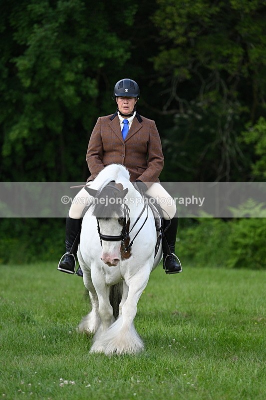 WJ7_1024 - Class 11 Condition & Turnout