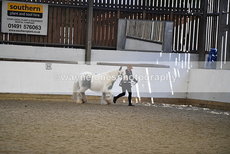 WJ5_5271 - Class 8 In hand cob