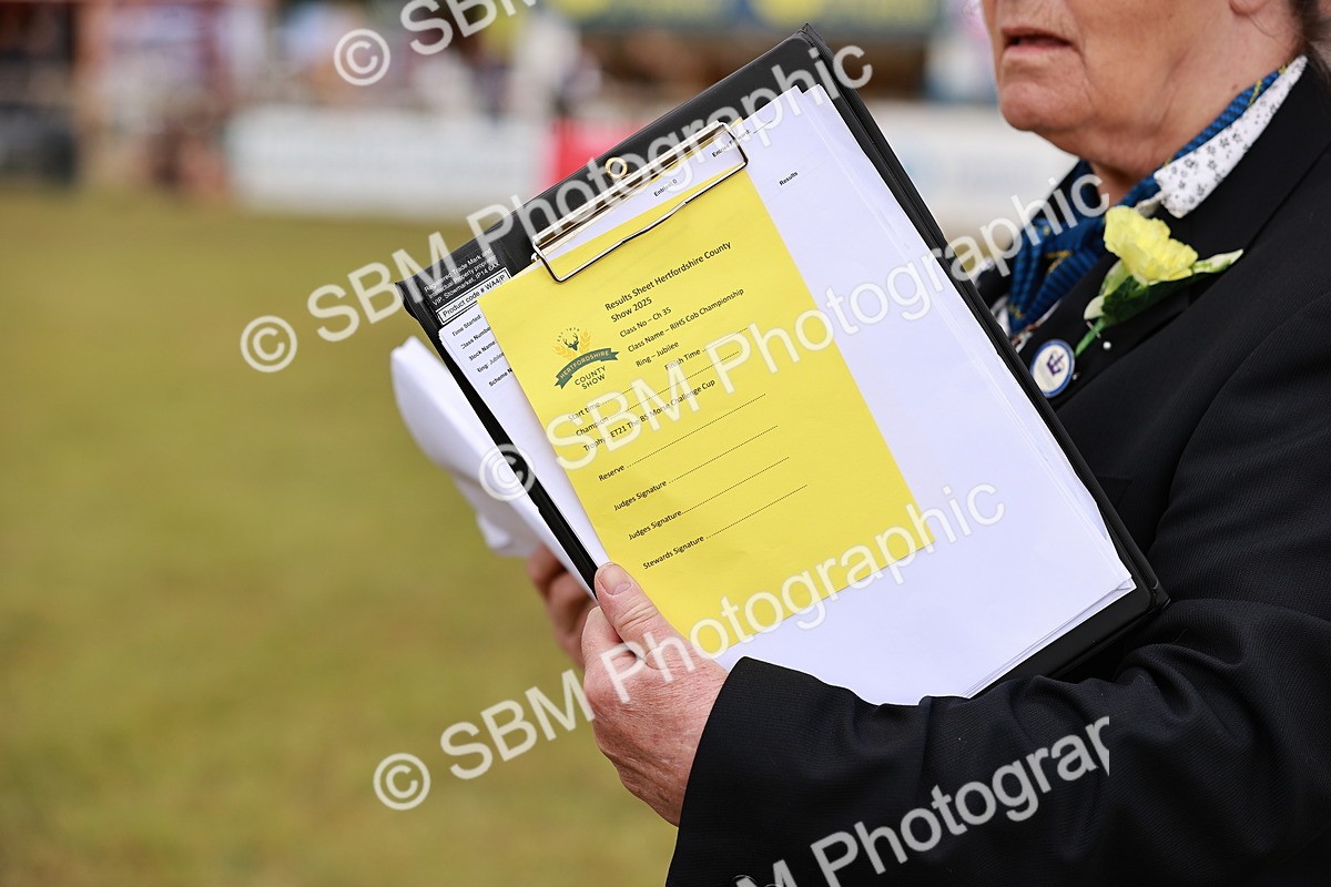 SBM_14082 - Class 85-87 - RIHS Cobs