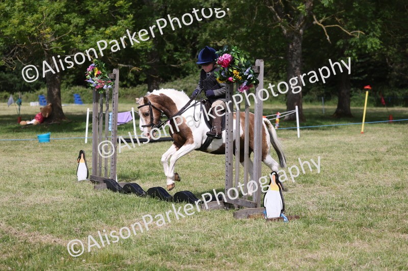 20260614-0686 - Class 20 - Beginners Working Hunter Pony