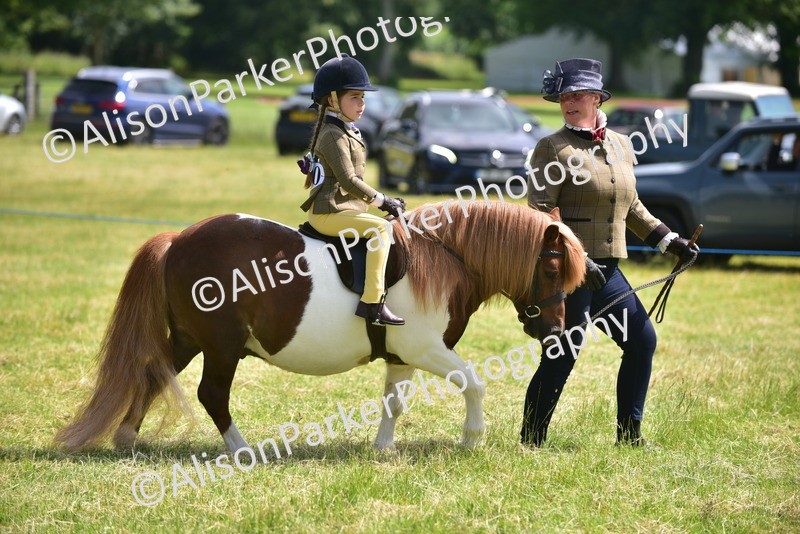 20260614-1107 - Class 11a - Lead Rein Pony (Unplaited)