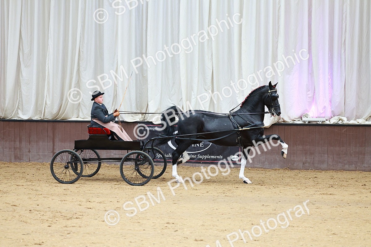 SBM_001004 - Class 13  - HHS Championship Intl Hackney Horse to a Show Wagon