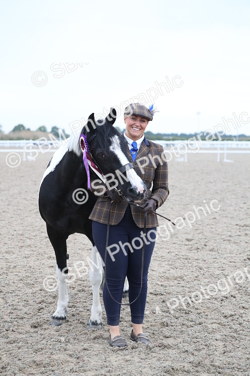 SBM_18427 - Class 318 IH Part bred Horse/Pony