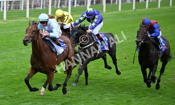 200825-096 Pride Of Arras - Race 3 3.00pm Sky Bet Great Voltigeur Stakes