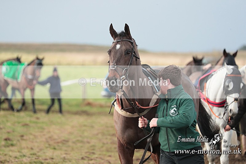 PtP 311223 13 - Larkhill Racing Club Point-to-Point 31/12/23