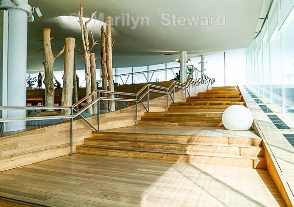 Helsinki-Oodi Library interior - Scandinavia and The Baltics