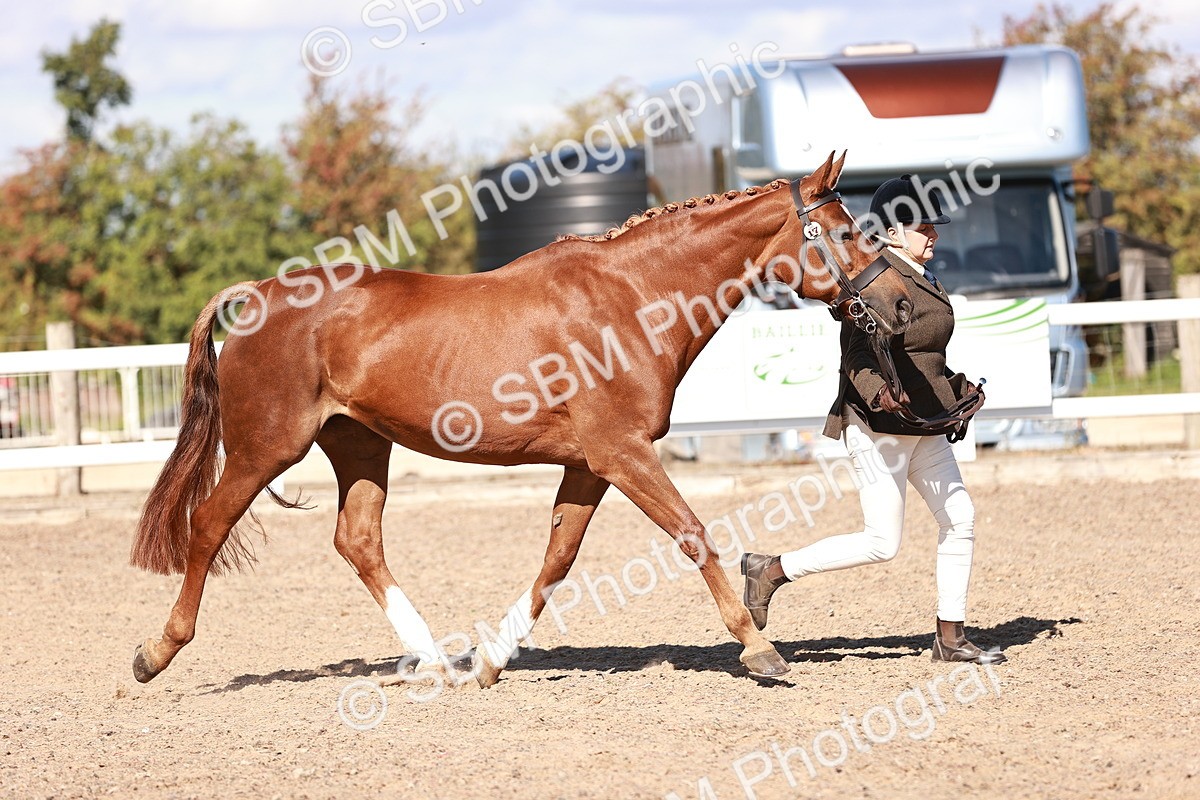 SBM_13315 - class 406 - IH Hunter