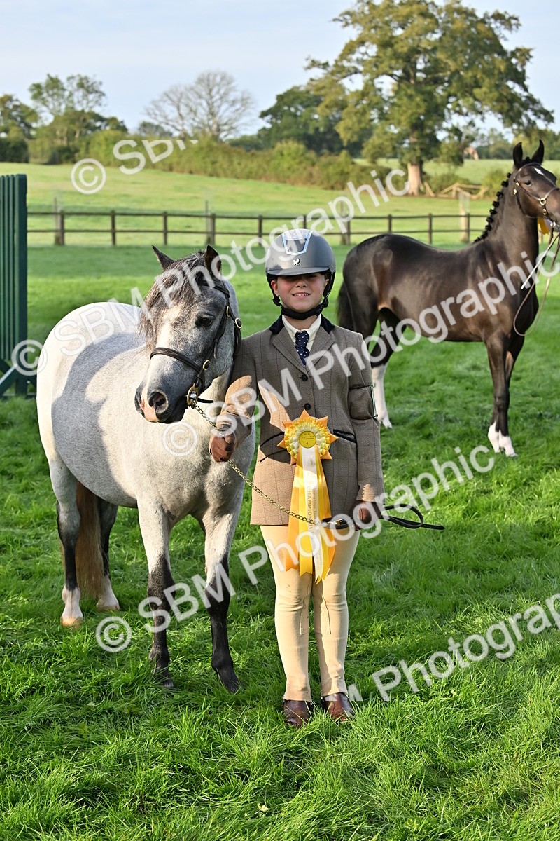 SBM_54639 - S44 - Youngstock In Hand