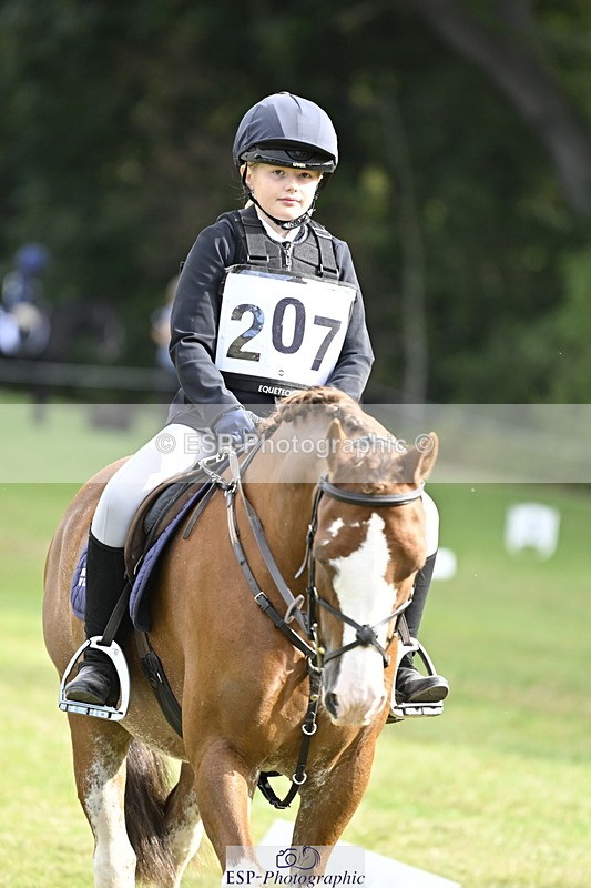 250821A-094324-13537_DR 900 to 1000 - 079-742-5102