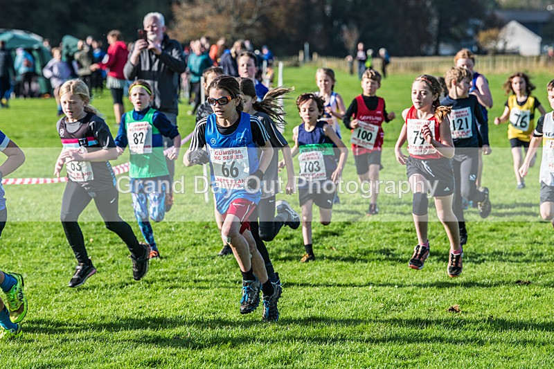 Cumbria XC-81 - Cumbria XC League Workington Saturday 26th October 2024