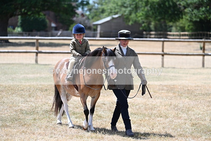 WJ7_2646 - Class 6 Ridden Mountain and Moorland