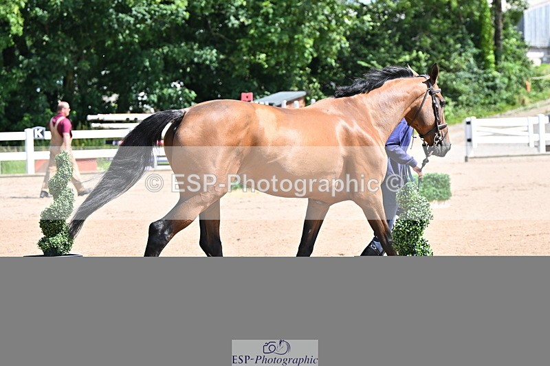 240718A-105238-00950 - Trot Up 11am to 12pm