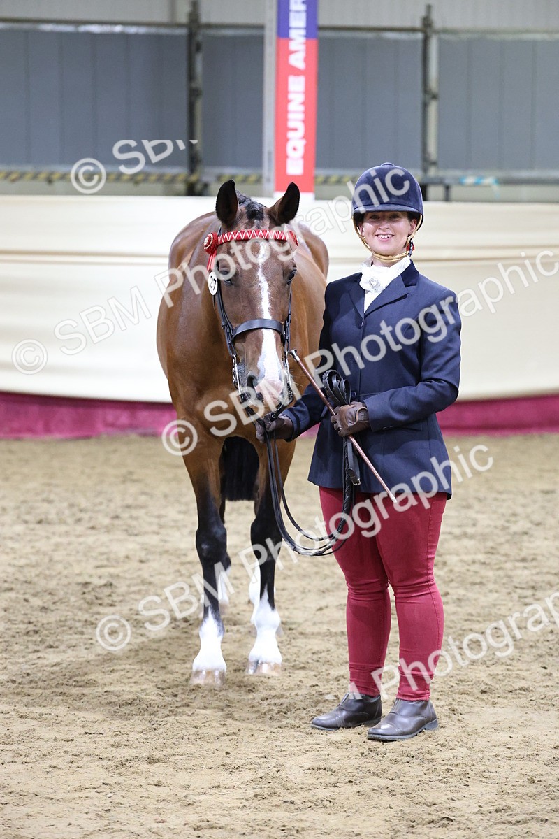 SBM_20537 - Class G - IH Large (over 148cm)Champ