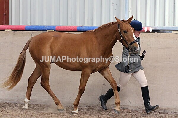 SIAL9608 - Indoor Classes