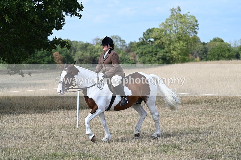 WJ7_7052 - Class 14 Ridden Coloured