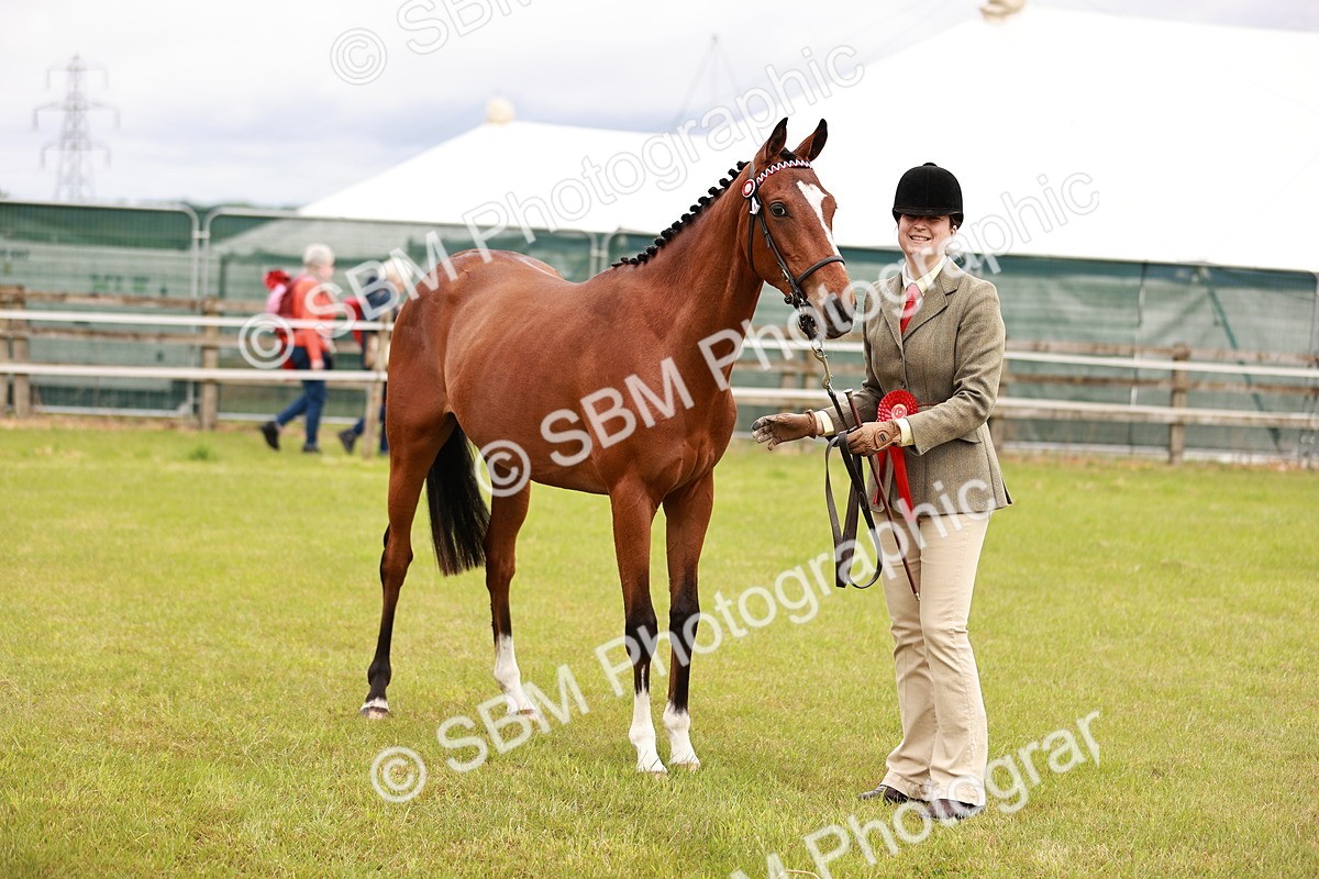 SBM_01715 - Class 31-34 Hack Breeding