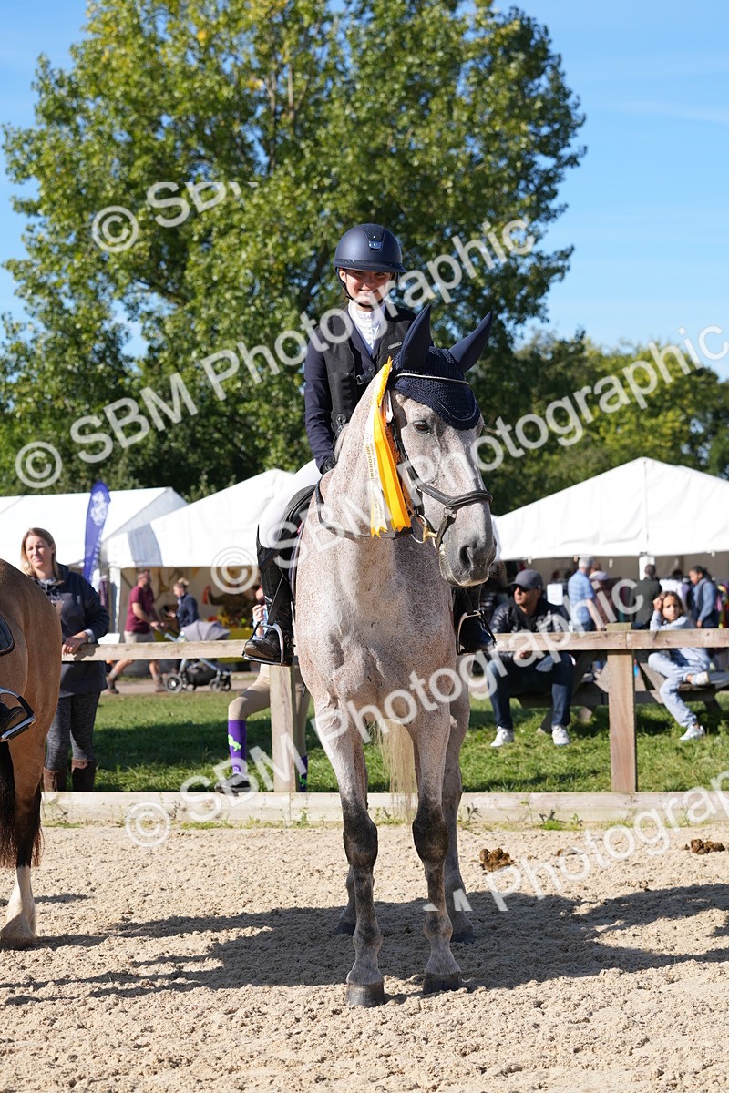 SBM_36253 - J 20 - Junior Horse 50cm Championship