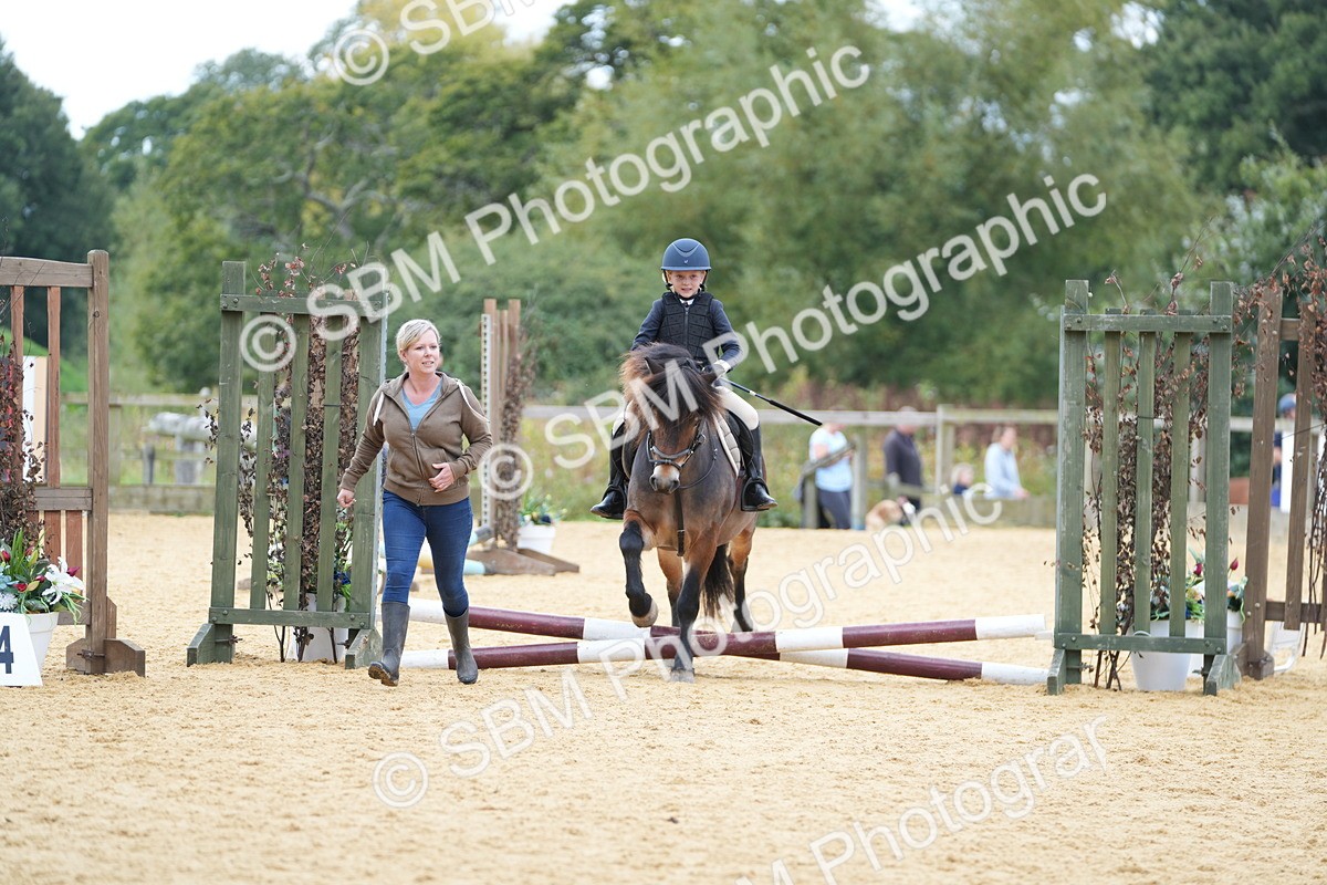 SBM_64352 - J2 - Mini Tour Junior Pony 30cm Championship