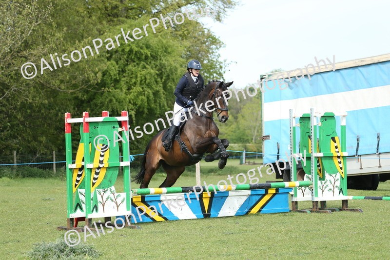 20260426-1710 - Class 14 - Novice 60cm