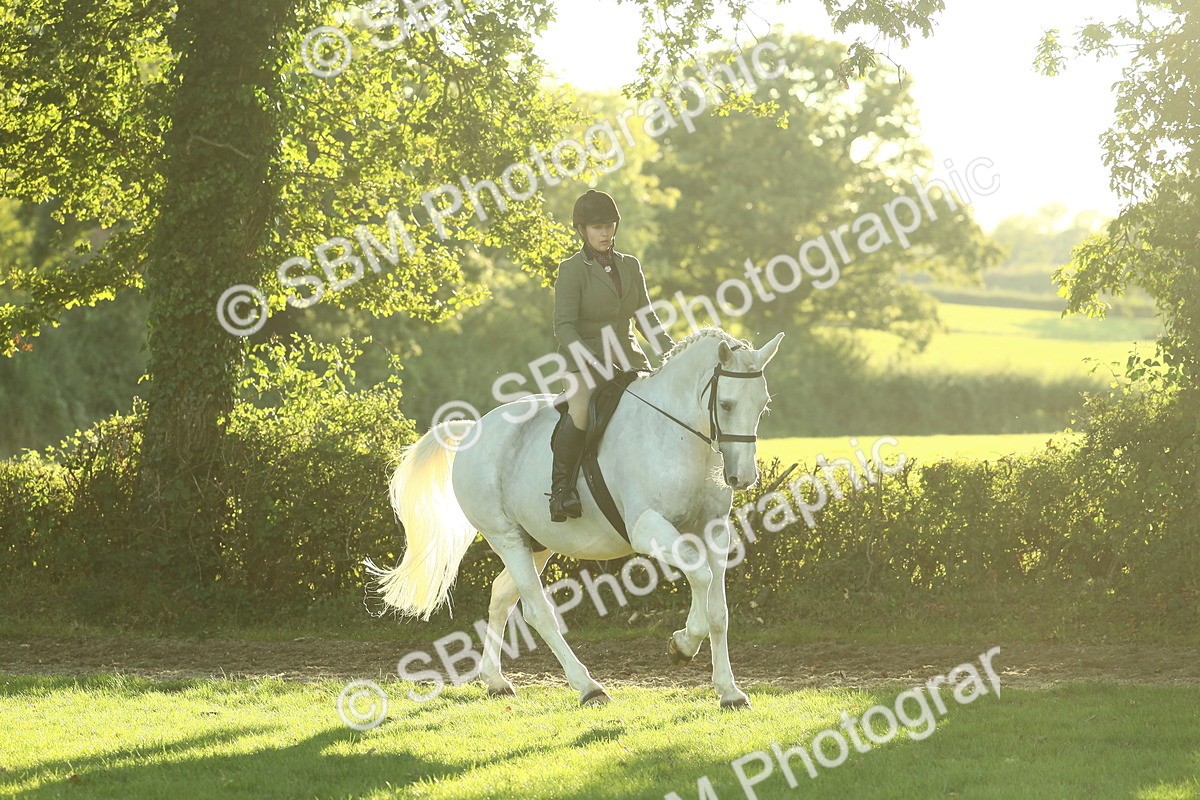 SBM_55574 - S14 - Riding Club Horse