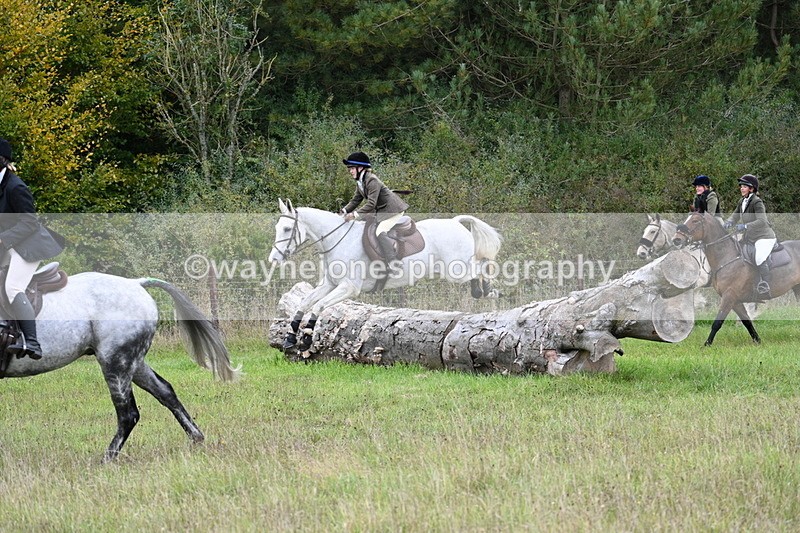 WJ7_3819 - Camera 1 Line 1