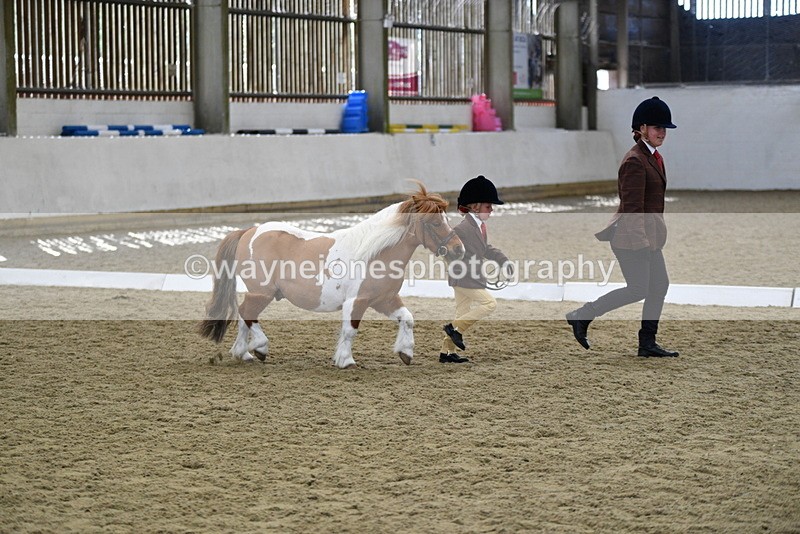 WJ5_4916 - Class 7 In hand coloured / odd coloured