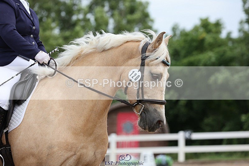 250621-093302-06023 - Cls 28 - Freestyle Novice
