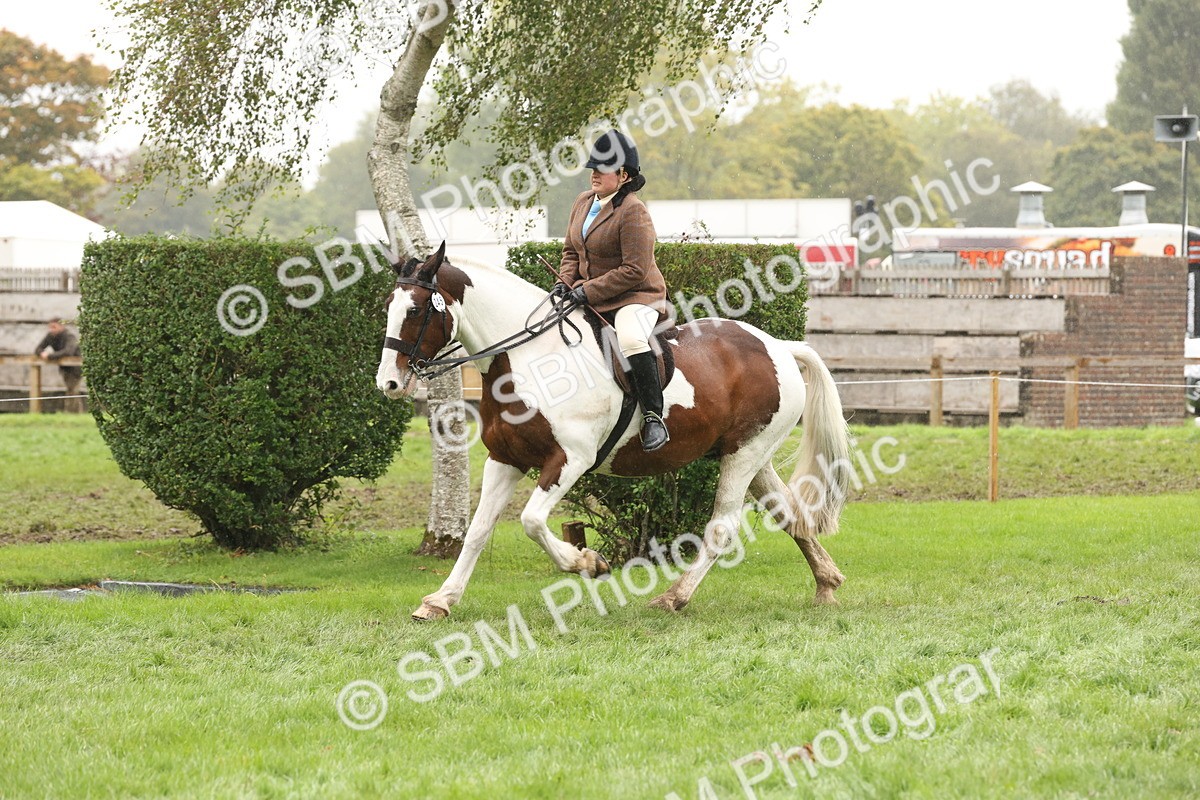 SBM_69821 - S69 - Show Cob Ridden