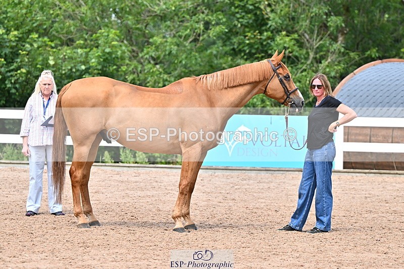 240718A-105320-01870 - Trot Up 1pm to 2pm