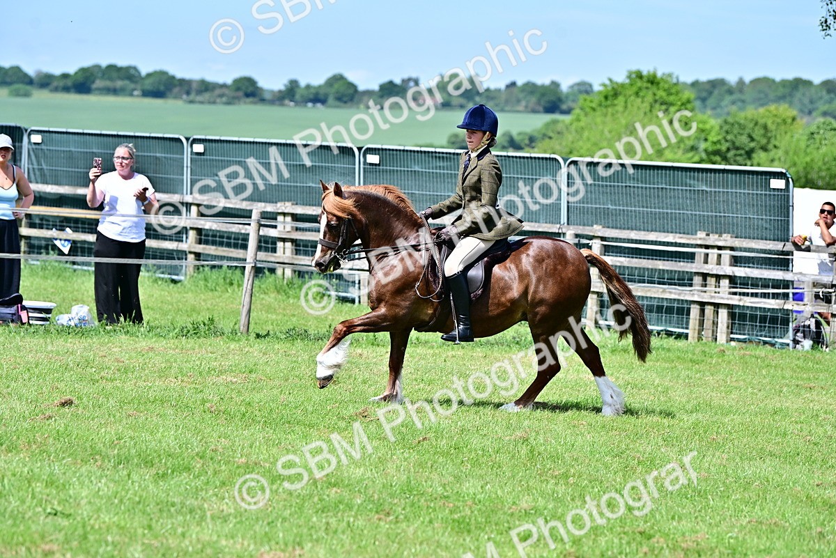 SBM_07935