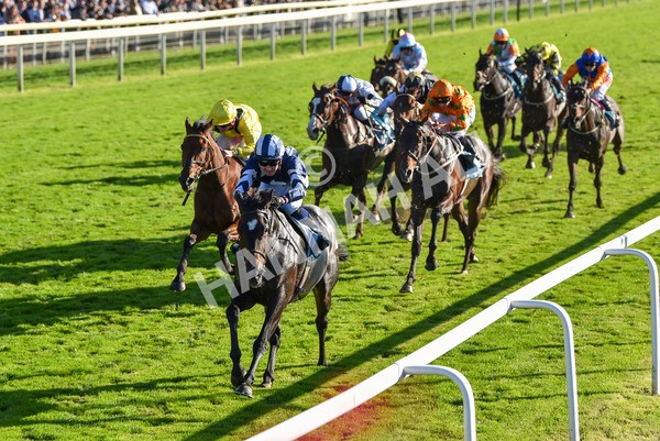141023-Race 5-Certain Lad-1344 - Race 5 3.35pm Coral Racing Bet Bundles Handicap