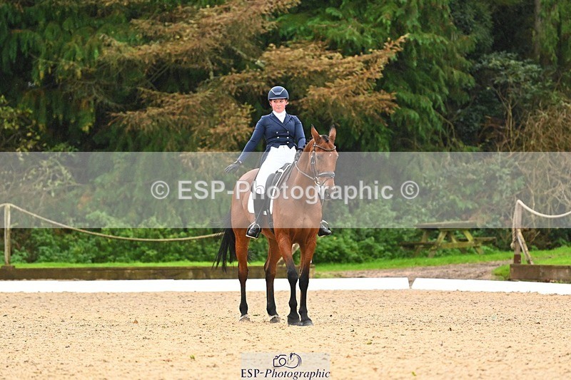 231021-121309-15088 - 346-MY.EASTWOOD.BRIGHTSIDE-Darcy.Zander-DR