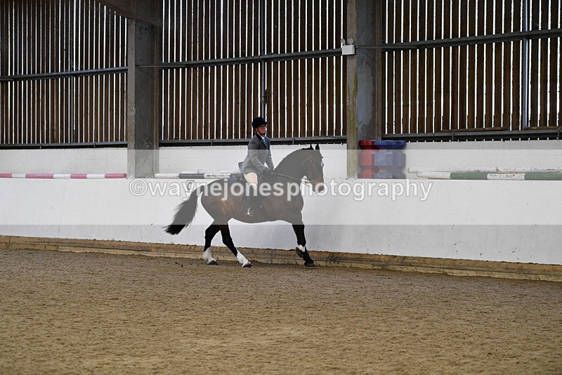 WJ5_7724 - Class 13 Ridden Part Breed