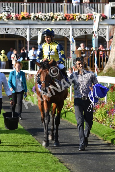 yr08102021r4-37 - Race 4 3.50pm Casumo Dare To be Different Handicap