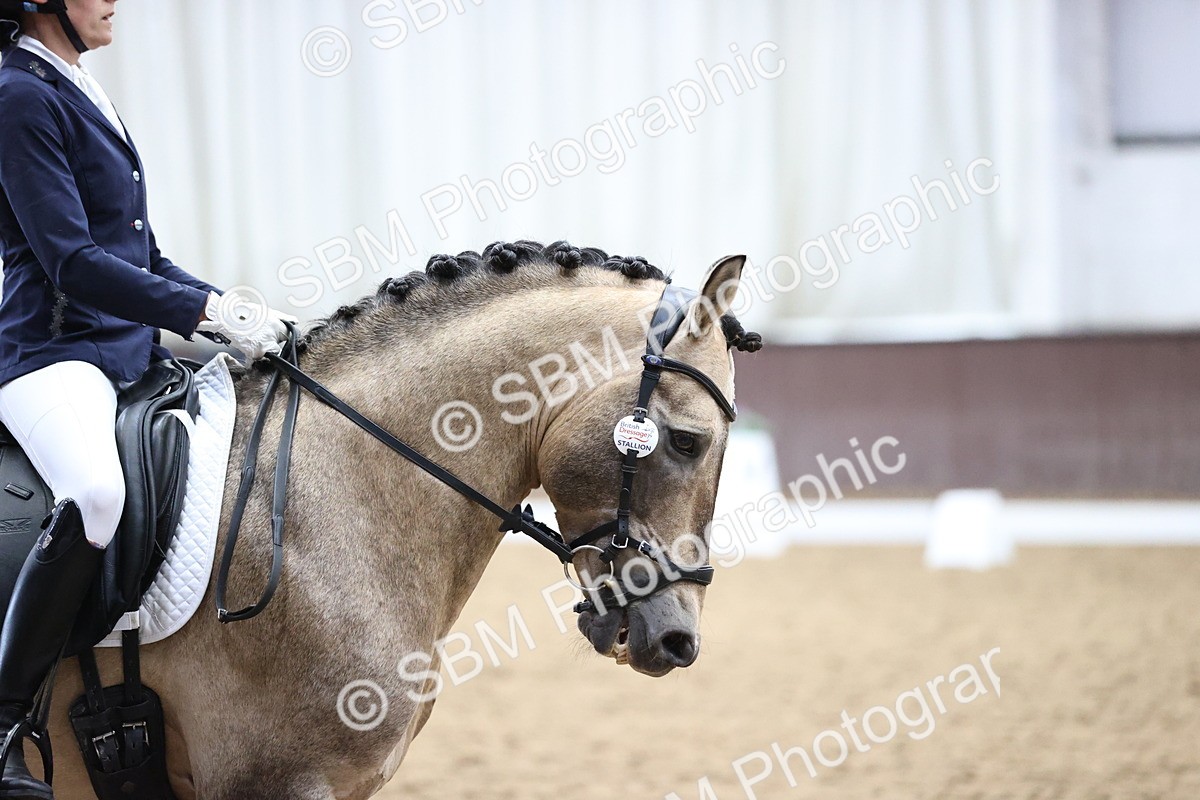 SBM_018895 - Class 21 - Medium 73 - 9.00-10.00