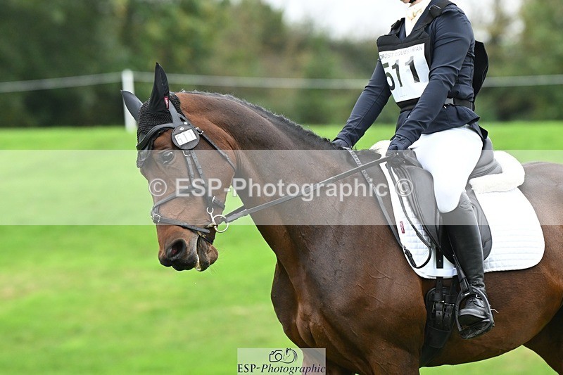 241024-121321-03337 - 511-Rosie.Doe-LOUIS