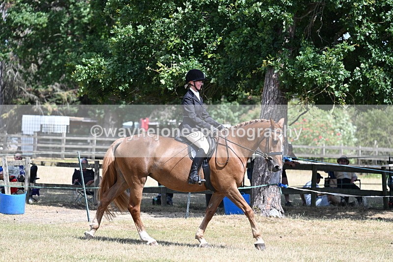 WJ7_3244 - Class 8 Ridden Veterans