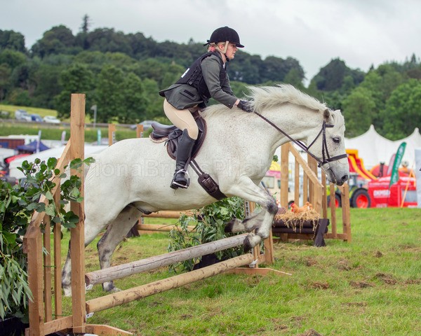 Dunblane show-119 - Dunblane and Doune Show Ring 1