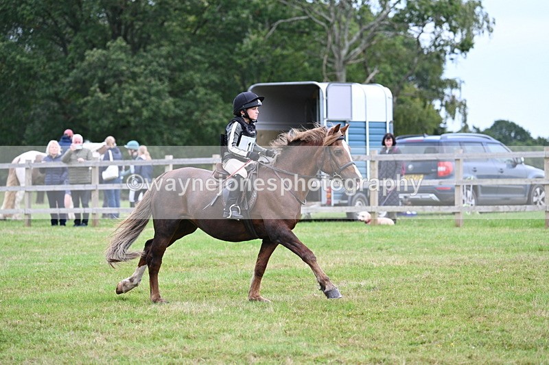 WJ7_7500 - 40cm Time 10:27 to 10:47