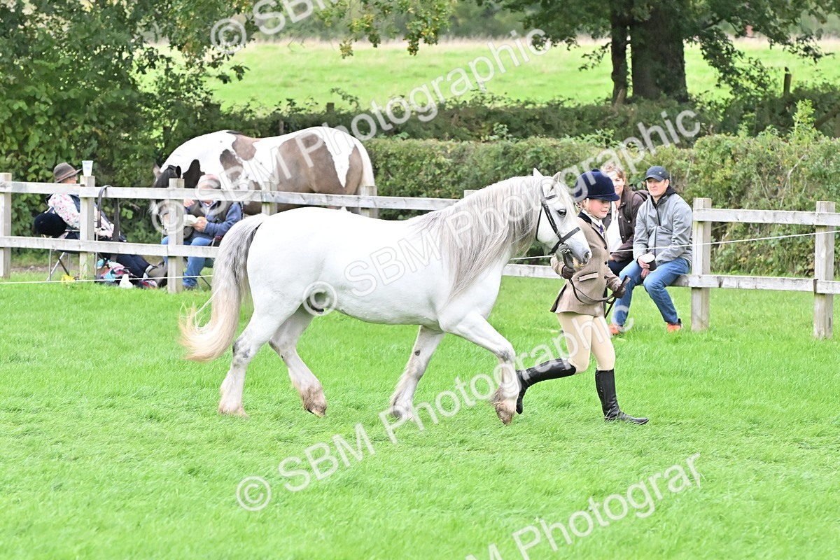 SBM_68535 - S42 - Junior Handler 9-12 Years