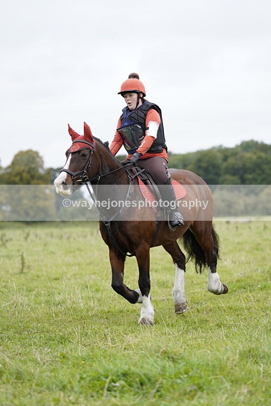 _DSC6566 - Time at Photographer 10:13 to 10:42