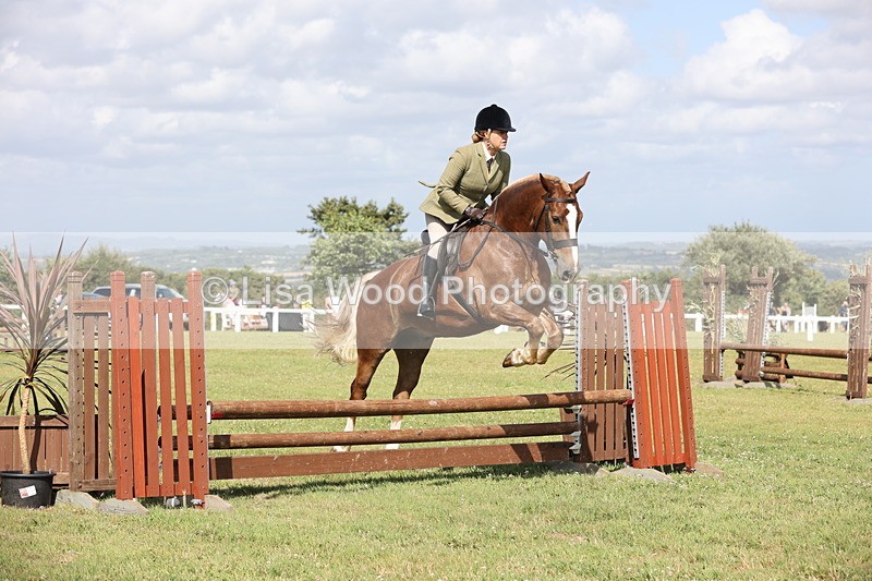 JPP_2512 - Class 20: Working Hunter 70cm