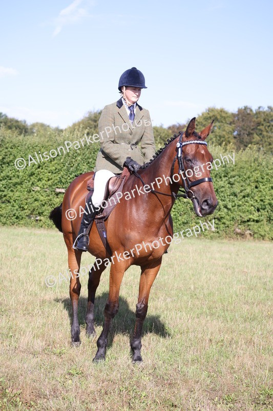 20260906-0373 - Class 14 - Ex Racehorse