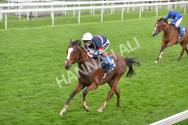 yr22052021r3-33 - Race 3 3.15pm William Hill Extra Place Races Stakes