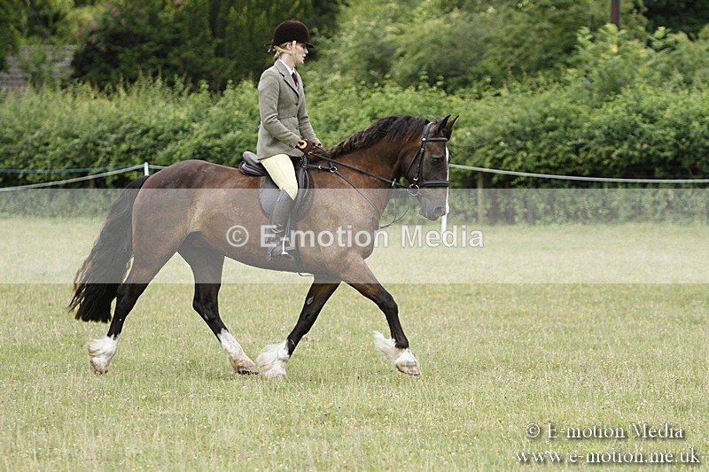 BVR160717-154 - Ring 3 BVRC Show 16/07/17