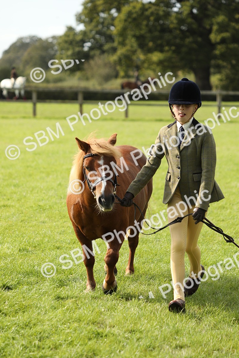 SBM_68651 - S40 - Junior Handler 9-12 Years