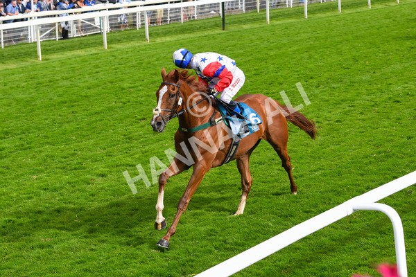 150723-Race 6-Robert Johnson-0644 - Race 6 4.55pm John Smith's Stayers' Handicap