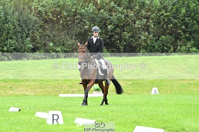 241024-111126-03161 - 504-Harry.Robinson-WHAT.A.WONDER