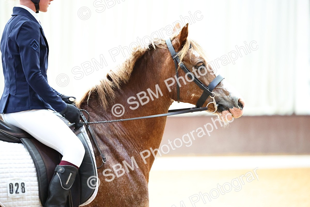 SBM_003548 - Prelim 2