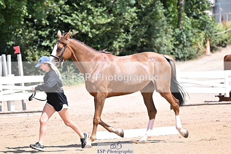 250716-123825-00078 - Trot Up 12.30 to 1.30